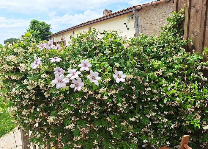 Gite Cosy Grand Confort Dans Un Ecrin De Verdure